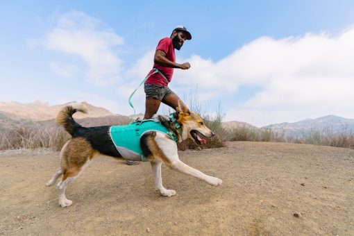 Ruffwear Swamp Cooler Zip™ Vest, Aurora Teal - Bild 8