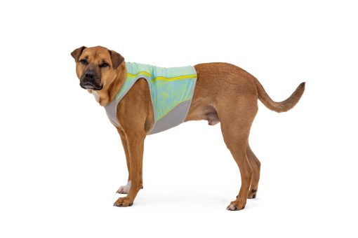 Ruffwear Swamp Cooler Zip™ Vest, Blue Mist - Bild 10