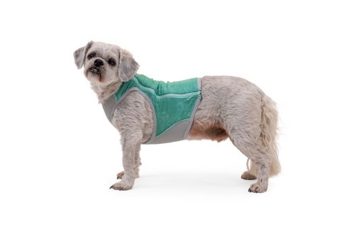 Ruffwear Swamp Cooler Zip™ Vest, Aurora Teal - Bild 10