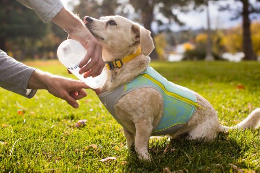 Ruffwear Swamp Cooler Zip™ Vest, Blue Mist - Bild 12