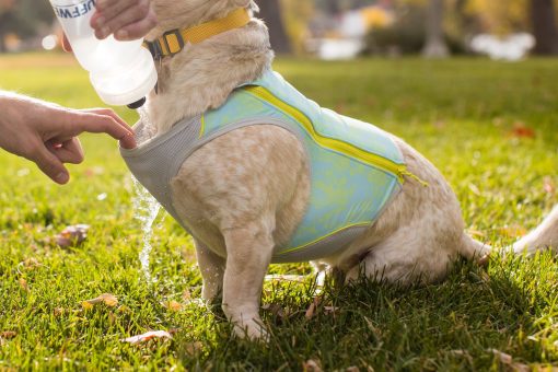 Ruffwear Swamp Cooler Zip™ Vest, Blue Mist - Bild 13