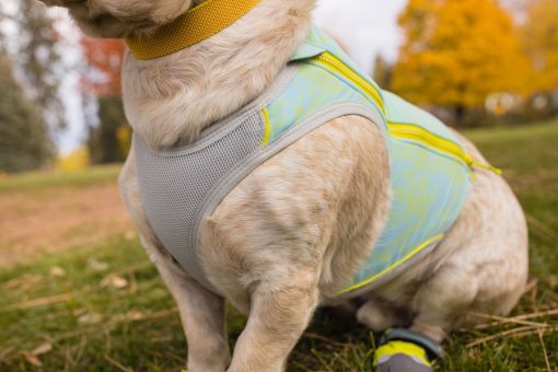 Ruffwear Swamp Cooler Zip™ Vest, Blue Mist - Bild 11