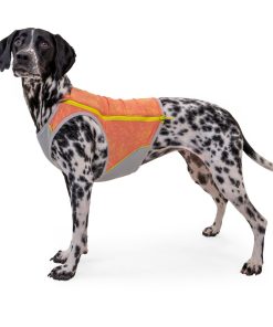 Hundkylvästar