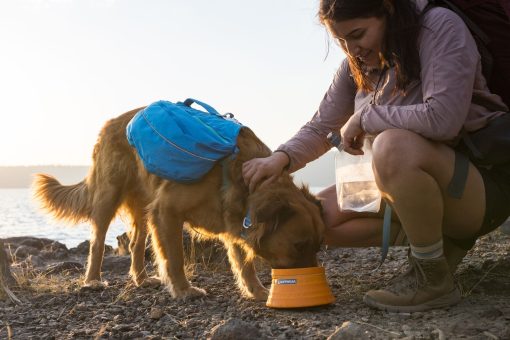 Ruffwear Bivy Bowl, Salamander Orange - Bild 2