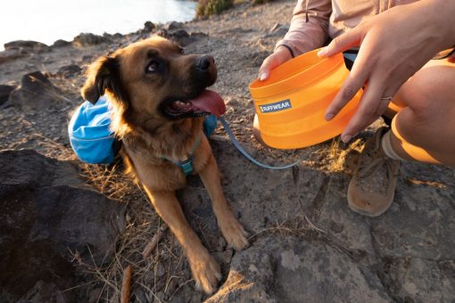 Ruffwear Bivy Bowl, Salamander Orange - Bild 5