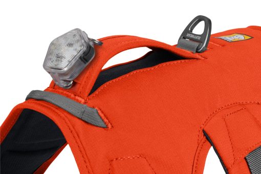 Ruffwear Webmaster Harness Blaze Orange - Bild 10