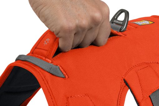Ruffwear Webmaster Harness Blaze Orange - Bild 11