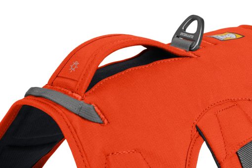 Ruffwear Webmaster Harness Blaze Orange - Bild 12