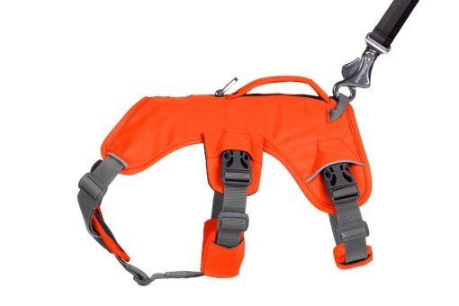 Ruffwear Webmaster Harness Blaze Orange - Bild 13