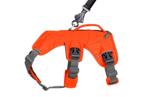 Ruffwear Webmaster Harness Blaze Orange - Bild 14