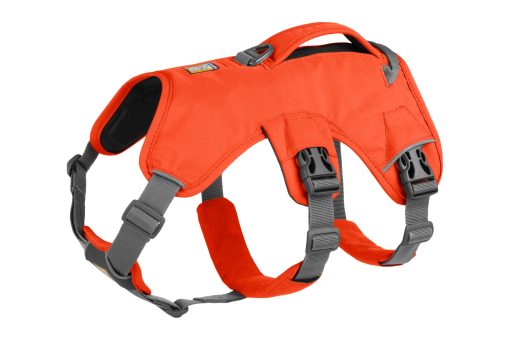 Ruffwear Webmaster Harness Blaze Orange - Bild 16