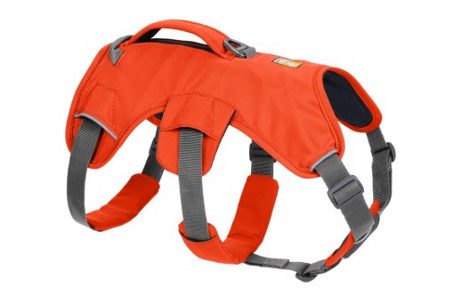Ruffwear Webmaster Harness (version 3), finns i flera färger - Bild 2