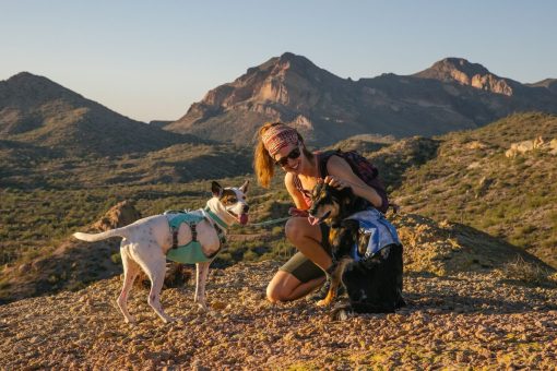 Ruffwear Swamp Cooler™ Harness kylsele Heliotrope Purple - Bild 4