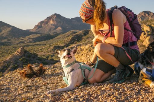 Ruffwear Swamp Cooler™ Harness kylsele Sage Green - Bild 8