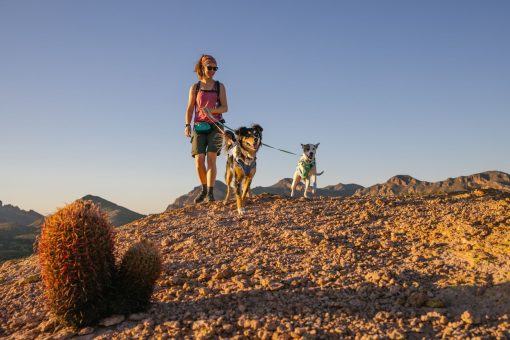Ruffwear Swamp Cooler™ Harness kylsele Sage Green - Bild 7