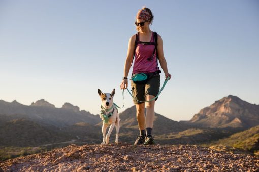 Ruffwear Swamp Cooler™ Harness kylsele Sage Green - Bild 6
