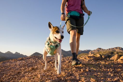 Ruffwear Swamp Cooler™ Harness kylsele Sage Green - Bild 5