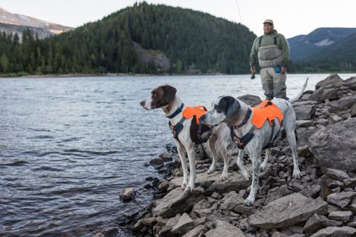Ruffwear Webmaster Harness Blaze Orange - Bild 7