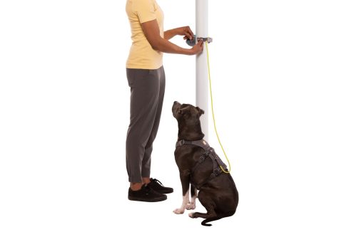Ruffwear Hitch Hiker™ Leash, Slate Blue - Bild 8