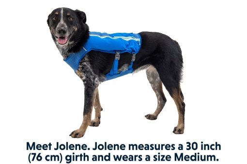 Ruffwear Trail Runner™ Löpväst, finns i två färger - Bild 4