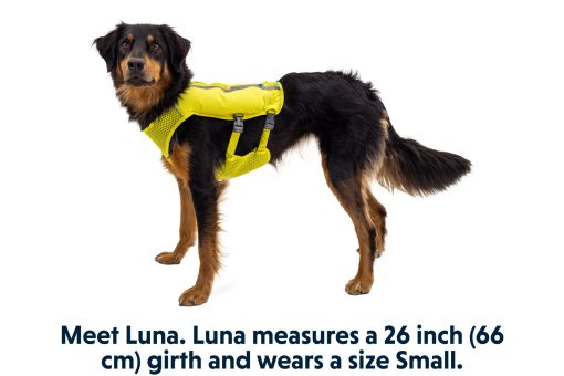 Ruffwear Trail Runner™ Löpväst, Lichen Green - Bild 16