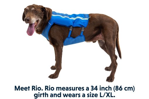 Ruffwear Trail Runner™ Löpväst, finns i två färger - Bild 7