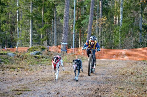 Bungee Leash Double från Non-Stop Dogwear - Bild 3