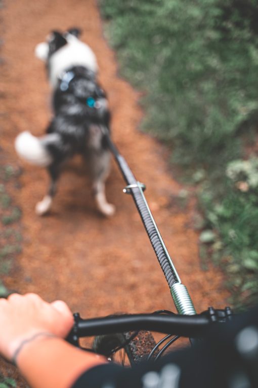 Non-Stop Dogwear Bike Antenna - Bild 3