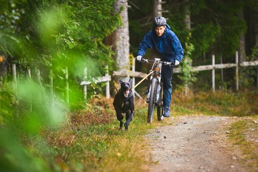 Bungee leash, Hundkoppel från Non-Stop Dogwear, finns i två färger - Bild 2