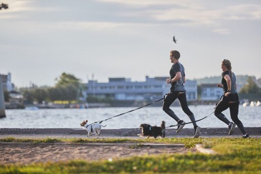 Touring Bungee, Hundkoppel från Non-Stop Dogwear, finns i flera färger - Bild 2