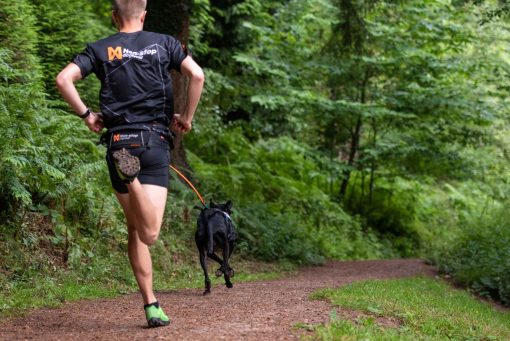Bungee leash, Hundkoppel från Non-Stop Dogwear, finns i två färger - Bild 5
