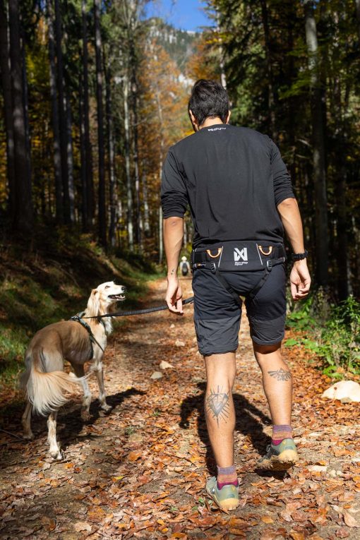 Handsfree-bälte för hundpromenaden – Trekking belt 2.0 - Bild 3