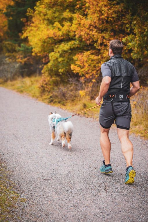 Handsfree-bälte för hundpromenaden – Trekking belt 2.0 - Bild 5