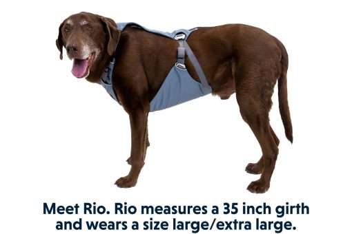 Ruffwear Load Up Harness (Version 2) - Bilsele, ny modell 2023 - Bild 10