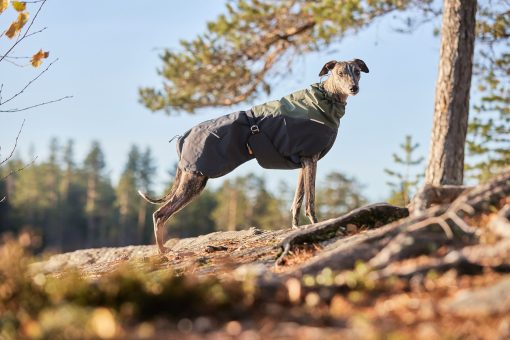 Glacier wool jacket 2.0, hundtäcke i ull från Non-Stop Dogwear - Bild 6