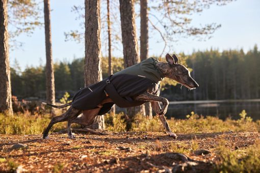 Glacier wool jacket 2.0, hundtäcke i ull från Non-Stop Dogwear - Bild 7