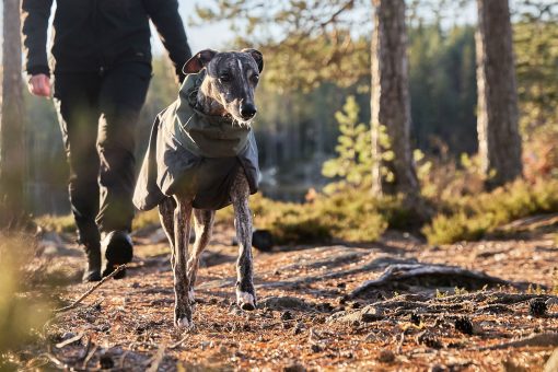 Glacier wool jacket 2.0, hundtäcke i ull från Non-Stop Dogwear - Bild 8