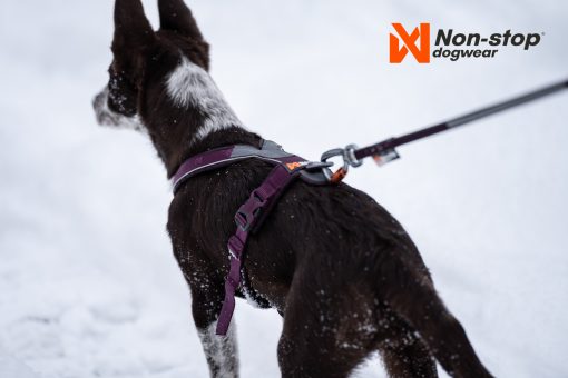 Non-Stop Dogwear, Line Harness 5.0, finns i flera färger - Bild 5