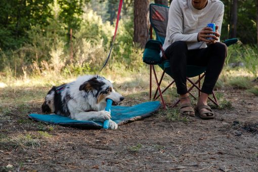 Ruffwear Gnawt-a-Stick - Apport leksak, finns i 2 färger - Bild 9