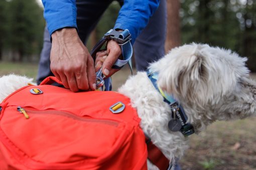 Hundkoppel, Crag Leash från Ruffwear, reflekterande i fantastiska mönster - Bild 7