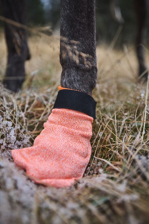 Hundsocka, Protector light socks från Non-Stop Dogwear - Bild 5