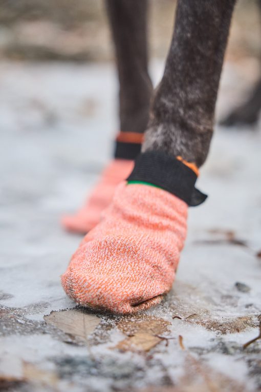 Hundsocka, Protector light socks från Non-Stop Dogwear - Bild 10