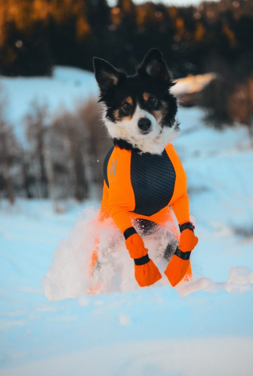 Hundsocka, Contact Bootie high från Non-Stop Dogwear - Bild 4