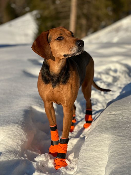 Hundsocka, Contact Bootie high från Non-Stop Dogwear - Bild 8
