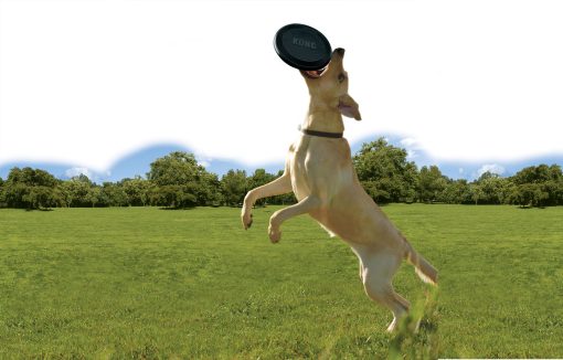 Hundfrisbee Kong Flyer, Svart - Bild 2