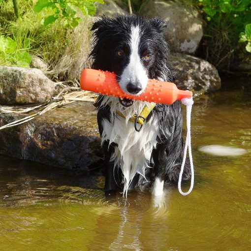Dummie flytande Orange, Dogman - Bild 3