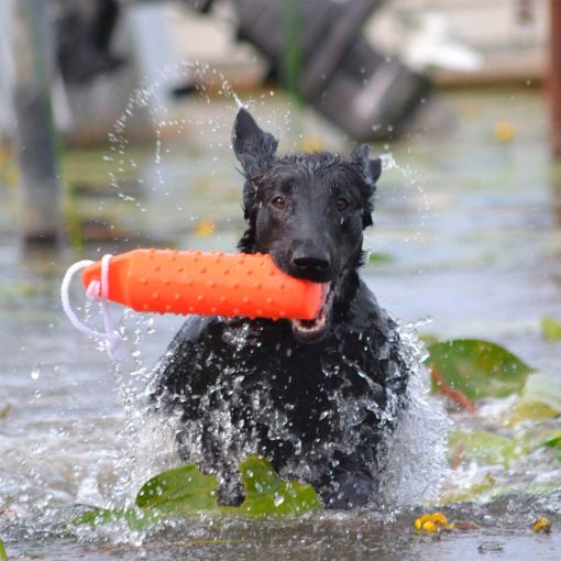 Dummie flytande Orange, Dogman - Bild 2