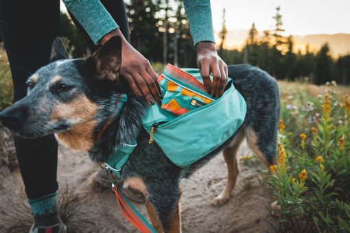 Klövjeväska, Ruffwear Front Range Day Pack, Basalt Gray - Bild 15