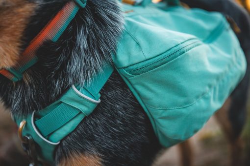 Klövjeväska, Ruffwear Front Range Day Pack, Basalt Gray - Bild 16