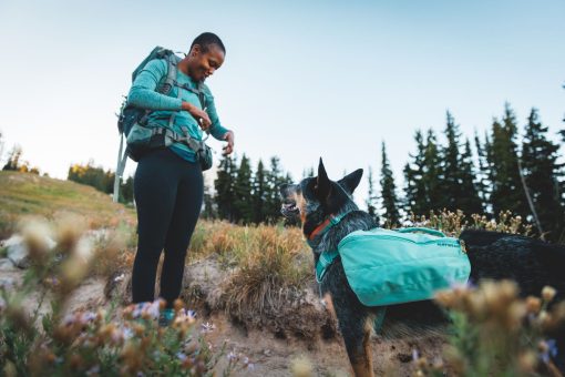 Klövjeväska, Ruffwear Front Range Day Pack, Basalt Gray - Bild 13
